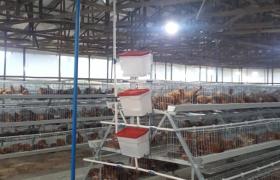 TAGAD poultry farm
